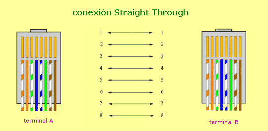 conexin Straight Trough